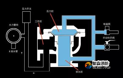 1644299205827447.jpg 24.jpg