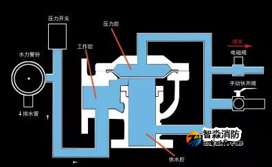 1644299212369274.jpg 25.jpg