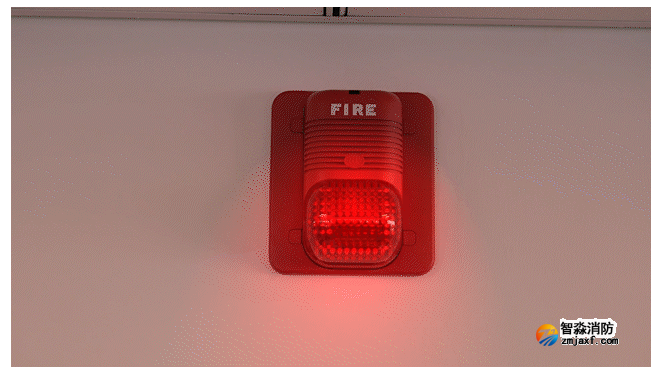 1669626599893155.png image.png